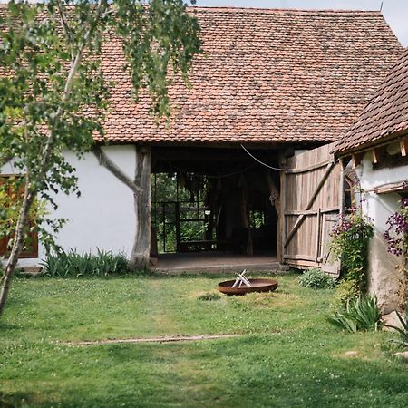 Viscri 9 Konuk evi Dış mekan fotoğraf